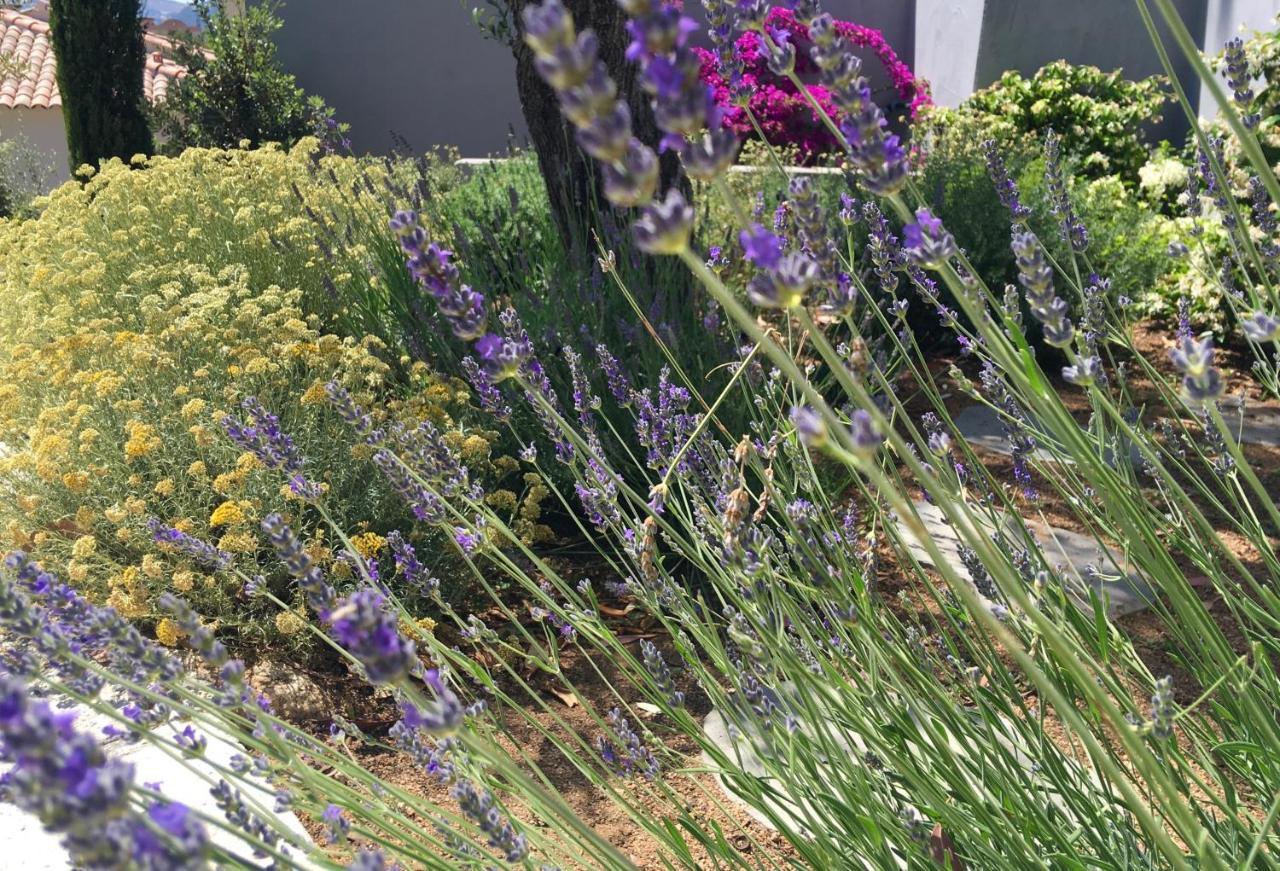 Bed and Breakfast Casa Di l'Ortu Ajaccio  Esterno foto
